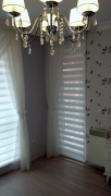  Roll shutters Day and Night   Pictures: