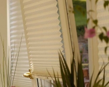  Pleated blinds & Duet model "BB" Pictures: